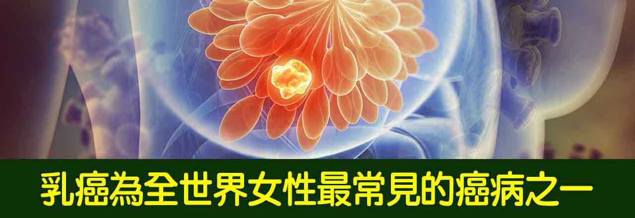 中醫乳癌、乳腺癌治療